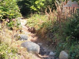 2024-09-21_schwarzaelder_4-seen-tour_05