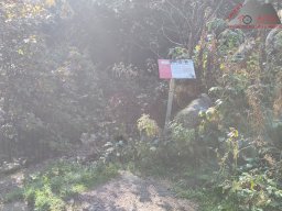 2024-09-21_schwarzaelder_4-seen-tour_07