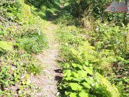 2024-09-21_schwarzaelder_4-seen-tour_13