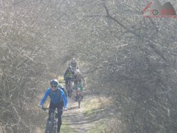 2025-03-22_dav_unterwegs_im_hegau_12