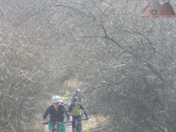 2025-03-22_dav_unterwegs_im_hegau_19