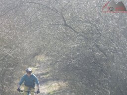 2025-03-22_dav_unterwegs_im_hegau_29