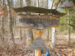 2025-03-22_dav_unterwegs_im_hegau_42