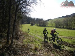 2025-03-22_dav_unterwegs_im_hegau_49