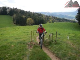 2025-04-13_dav_himmelreich_08