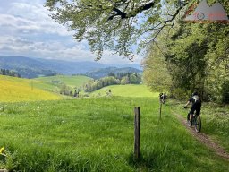 2025-04-27_dav_loeffingen-himmelreich_098