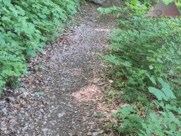 2025-05-10_schloss_lichtenstein-nebelhoehle-schoenbergturm_01