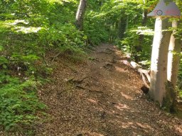 2025-05-10_schloss_lichtenstein-nebelhoehle-schoenbergturm_03