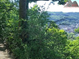 2025-05-10_schloss_lichtenstein-nebelhoehle-schoenbergturm_04