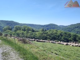 2025-05-10_schloss_lichtenstein-nebelhoehle-schoenbergturm_06