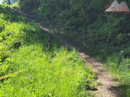 2025-05-10_schloss_lichtenstein-nebelhoehle-schoenbergturm_07