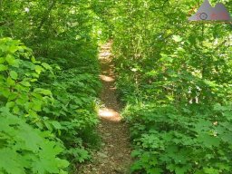 2025-05-10_schloss_lichtenstein-nebelhoehle-schoenbergturm_13