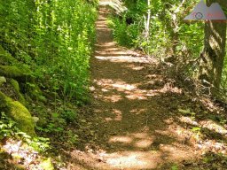 2025-05-10_schloss_lichtenstein-nebelhoehle-schoenbergturm_21