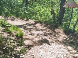 2025-05-10_schloss_lichtenstein-nebelhoehle-schoenbergturm_24