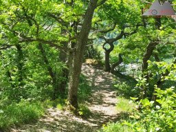 2025-05-10_schloss_lichtenstein-nebelhoehle-schoenbergturm_25