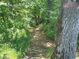 2025-05-10_schloss_lichtenstein-nebelhoehle-schoenbergturm_32