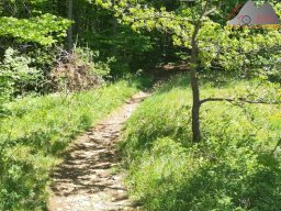 2025-05-10_schloss_lichtenstein-nebelhoehle-schoenbergturm_34