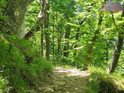 2025-05-10_schloss_lichtenstein-nebelhoehle-schoenbergturm_35