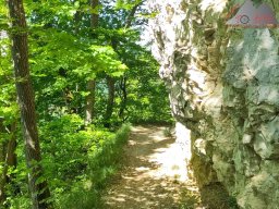 2025-05-10_schloss_lichtenstein-nebelhoehle-schoenbergturm_36