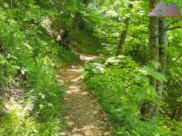 2025-05-10_schloss_lichtenstein-nebelhoehle-schoenbergturm_37