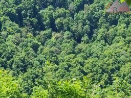 2025-05-10_schloss_lichtenstein-nebelhoehle-schoenbergturm_39