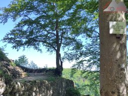 2025-05-10_schloss_lichtenstein-nebelhoehle-schoenbergturm_42