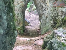 2025-05-10_schloss_lichtenstein-nebelhoehle-schoenbergturm_43