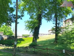 2025-05-10_schloss_lichtenstein-nebelhoehle-schoenbergturm_45