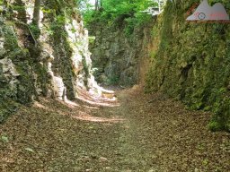 2025-05-10_schloss_lichtenstein-nebelhoehle-schoenbergturm_50