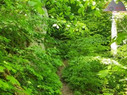 2025-05-10_schloss_lichtenstein-nebelhoehle-schoenbergturm_52