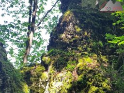 2025-05-10_schloss_lichtenstein-nebelhoehle-schoenbergturm_53