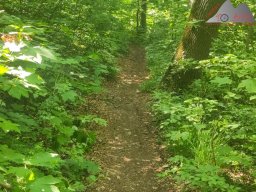 2025-05-10_schloss_lichtenstein-nebelhoehle-schoenbergturm_56