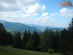 2025-05-18_dav_muenstertaeler_talweg_03