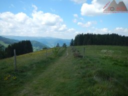 2025-05-18_dav_muenstertaeler_talweg_08