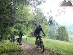 2025-05-18_dav_muenstertaeler_talweg_13