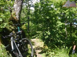 2025-05-18_dav_muenstertaeler_talweg_21