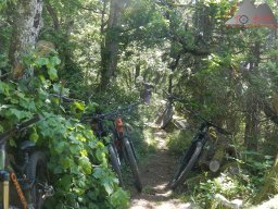 2025-05-18_dav_muenstertaeler_talweg_22