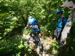 2025-05-18_dav_muenstertaeler_talweg_30