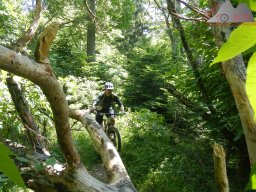 2025-05-18_dav_muenstertaeler_talweg_35