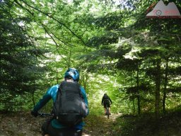 2025-05-18_dav_muenstertaeler_talweg_37