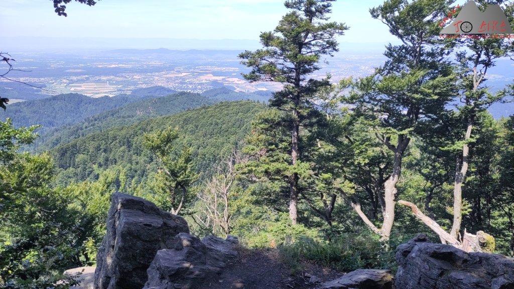 Trailtour von Glottertal über den Kandel (05.07.2025)