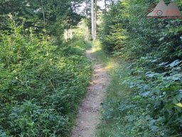 2025-07-05_glottertal_kandel_01