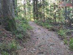 2025-07-05_glottertal_kandel_03