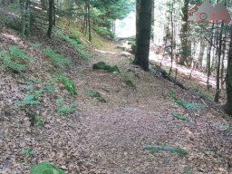 2025-07-05_glottertal_kandel_12