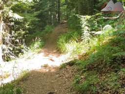 2025-07-05_glottertal_kandel_13