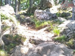 2025-07-05_glottertal_kandel_17