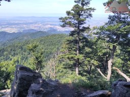 2025-07-05_glottertal_kandel_18