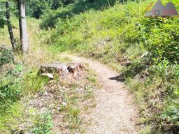 2025-07-05_glottertal_kandel_22