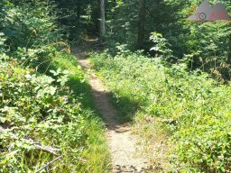 2025-07-05_glottertal_kandel_23