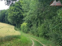 2025-07-06_schienerberg_wolkenstein_hohenklingen_06